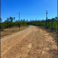 568 Acres with a Camp in Winston County in Louisville MS images 4