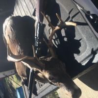4,000 acre hunting club in South Alabama