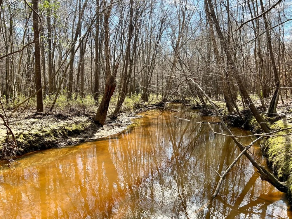 Great hunting and beautiful creek featured image