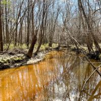 Great hunting and beautiful creek