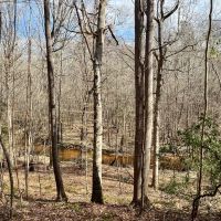 Great hunting and beautiful creek images 5