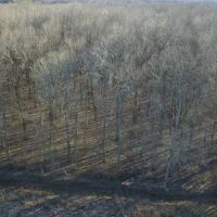 Recreation and Cropland in Northeast Arkansas images 4