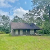 Cabin 112 Wooded Acres on Bogue Chitto River images 1