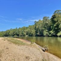 Cabin 112 Wooded Acres on Bogue Chitto River images 2