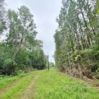 Cabin 112 Wooded Acres on Bogue Chitto River images 3