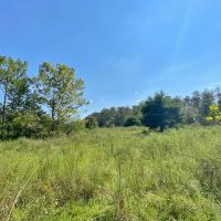 Cabin 112 Wooded Acres on Bogue Chitto River images 4