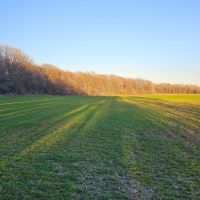160 Acres with Two Homes in Sunflower County MS - Serene Fox Farms