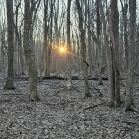 160 Acres with Two Homes in Sunflower County MS - Serene Fox Farms images 3