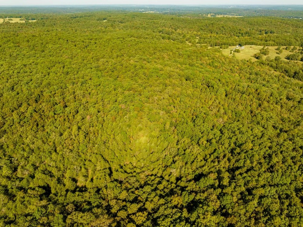 104 - Acres Whaley Creek Hunting Property Timberland Evening Shade Arkansas featured image