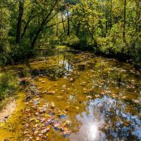 104 - Acres Whaley Creek Hunting Property Timberland Evening Shade Arkansas images 3
