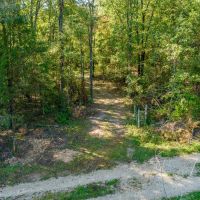 104 - Acres Whaley Creek Hunting Property Timberland Evening Shade Arkansas images 4