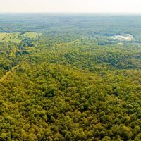 104 - Acres Whaley Creek Hunting Property Timberland Evening Shade Arkansas images 5