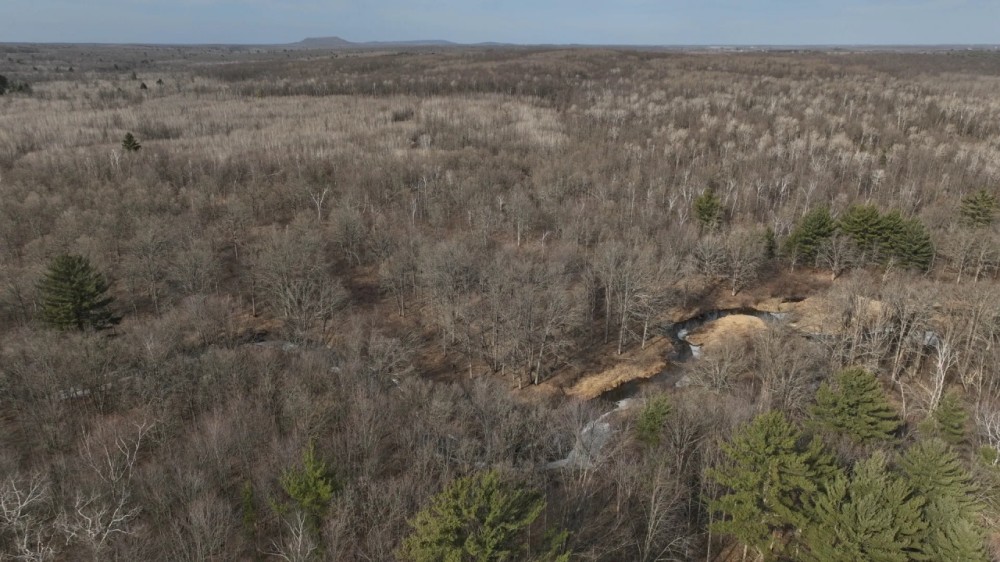 Affordable Hunting Land for Sale in Clark County Wisconsin featured image
