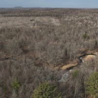 Affordable Hunting Land for Sale in Clark County Wisconsin