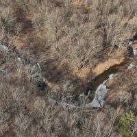 Affordable Hunting Land for Sale in Clark County Wisconsin images 2