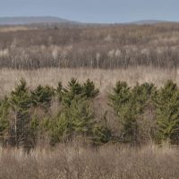 Affordable Hunting Land for Sale in Clark County Wisconsin images 5