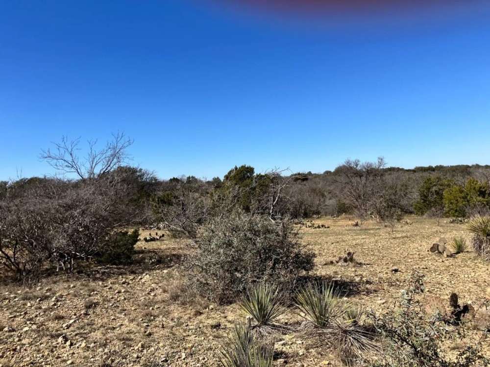 180 - Acres McCulloch County featured image