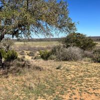 180 - Acres McCulloch County images 3