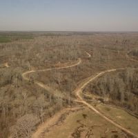 836 Acres with a Cabin in Webster County MS images 4