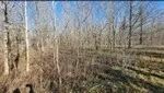 40 Acres in Catahoula Parish in Clayton LA images 2