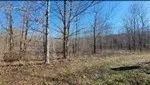 40 Acres in Catahoula Parish in Clayton LA images 4