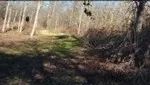 40 Acres in Catahoula Parish in Clayton LA images 5