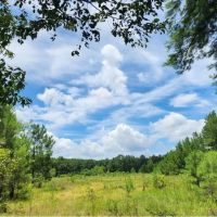 78 Acres in Wilkinson County in Crosby MS