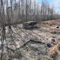 5.84 acres of Residential Timber Land For Sale in Beaufort County NC images 4
