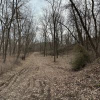 64 acre Recreational Farm Van Buren County Iowa images 3
