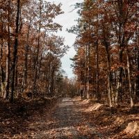 115.93 Acres in Soddy Daisy TN in Hamilton County images 2