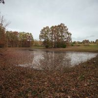 115.93 Acres in Soddy Daisy TN in Hamilton County images 5