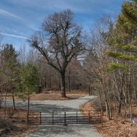Hunting Camp for Sale in Clark County Wisconsin images 2