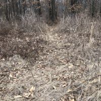 Rural Home Site images 5
