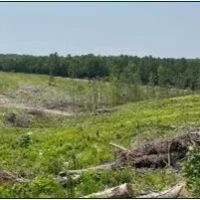 154.92 Acres in Grenada County in Coffeeville MS images 2