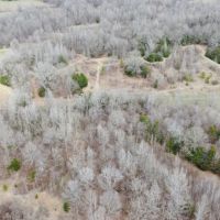 122 Acres in Carroll County MS images 3