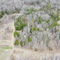 122 Acres in Carroll County MS images 4