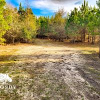Indian Branch Tract images 2