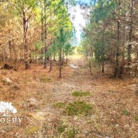 Indian Branch Tract images 3