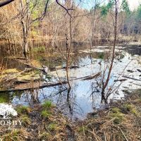 Indian Branch Tract images 4