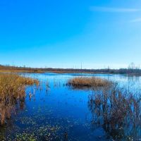 73 ACRES DUCK HUNTING FORKED DEER BOTTOMS
