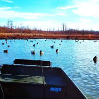 73 ACRES DUCK HUNTING FORKED DEER BOTTOMS images 2
