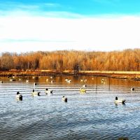73 ACRES DUCK HUNTING FORKED DEER BOTTOMS images 3