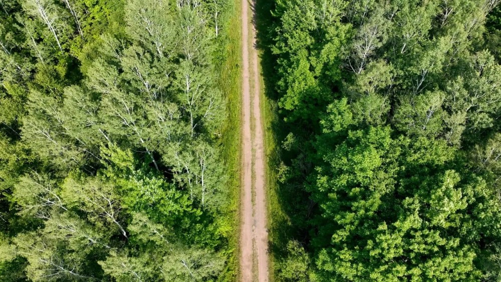 346 - Acre Wooded Michigan Parcel 50134562 featured image