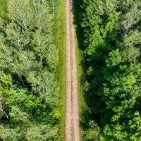 346 - Acre Wooded Michigan Parcel 50134562