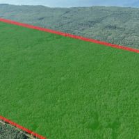 346 - Acre Wooded Michigan Parcel 50134562 images 2