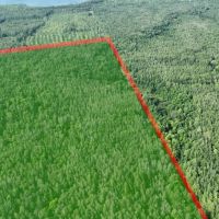 346 - Acre Wooded Michigan Parcel 50134562 images 3