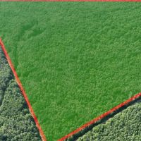 346 - Acre Wooded Michigan Parcel 50134562 images 4