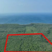 346 - Acre Wooded Michigan Parcel 50134562 images 5