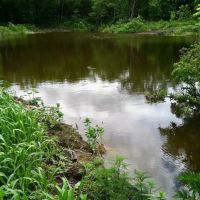 80 Acre Kansas Recreation Hunting Tract for Sale Osage County images 2