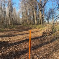 LA - Franklin 78 acres - images 4